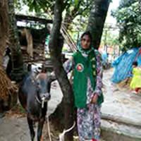 shefali ss thumb